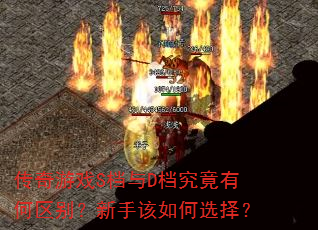 ������ϷS����D�������к��������ָ����ѡ��