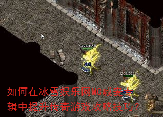 ����ڱ�ѩ������MC����ר��������������Ϸ���Լ��ɣ�