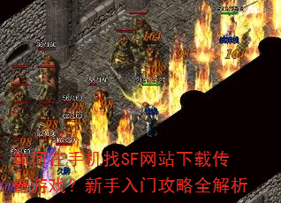 ������ֻ���SF��վ���ش�����Ϸ���������Ź���ȫ����