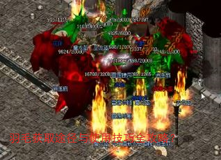 ��ë��ȡ;����ʹ�ü���ȫ���ԣ�