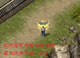 ��δ��䴫��װ��������󻯽�ɫս������