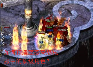 ��δ����̬�߱�˽���еĶ�����ɫ��