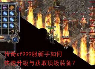 ����sf999��������ο����������ȡ����װ����