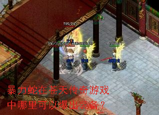 �������ڲ��촫����Ϸ��������Ա���װ����