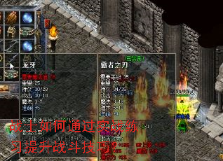 սʿ���ͨ��ʵս��ϰ����ս�����ɣ�