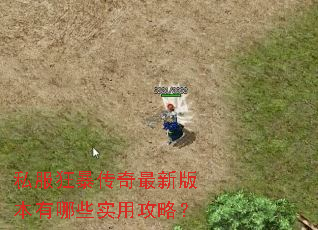 ˽���񱩴������°汾����Щʵ�ù��ԣ�