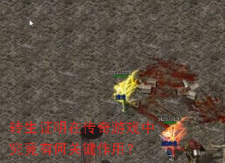 转生证明在传奇游戏中究竟有何关键作用? 转生证明在传奇游戏中究竟有何关键作用?