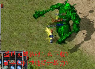 盛世龙城私服怎么下载?新手如何快速提升战力? 盛世龙城私服怎么下载?新手如何快速提升战力?