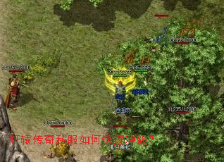 轩辕传奇私服如何快速冲级? 轩辕传奇私服如何快速冲级?