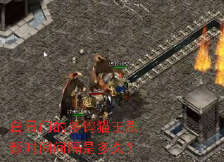 �����ŵĶ๳è��ˢ��ʱ�����Ƕ�ã�