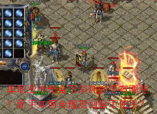 ��ְҵ����������;������Щ��������κ����滮���ʹ�ã�