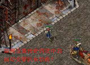 如何设置传奇游戏中的自动交替队长功能? 如何设置传奇游戏中的自动交替队长功能?