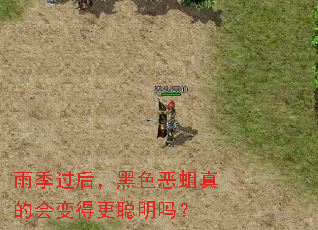 雨季过后,黑色恶蛆真的会变得更聪明吗? 雨季过后,黑色恶蛆真的会变得更聪明吗?