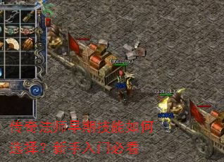 传奇法师早期技能如何选择?新手入门必看 传奇法师早期技能如何选择?新手入门必看