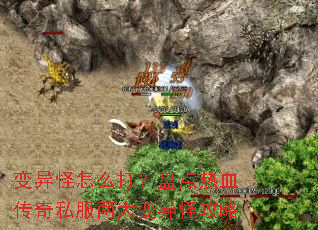 �������ô���̵���Ѫ����˽���������ֹ���