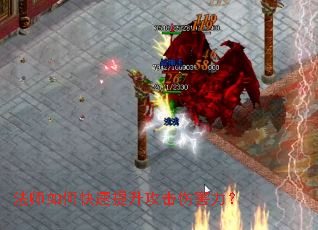 ��ʦ��ο������������˺�����