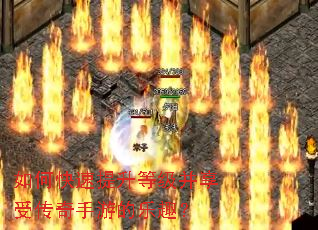 ��ο��������ȼ������ܴ������ε���Ȥ��