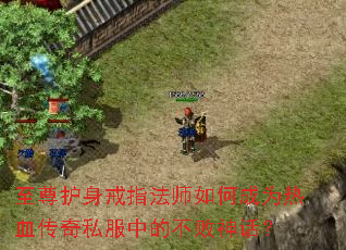 至尊护身戒指法师如何成为热血传奇私服中的不败神话? 至尊护身戒指法师如何成为热血传奇私服中的不败神话?