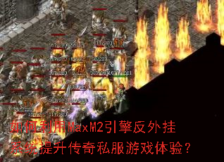 �������MaxM2���淴���ϵͳ��������˽����Ϸ���飿