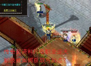 传奇新资料片各职业逆天新技能如何获取与加点? 传奇新资料片各职业逆天新技能如何获取与加点?