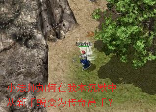 С��ʦ������ұ���Ĭ�д������ɱ�Ϊ������֣�