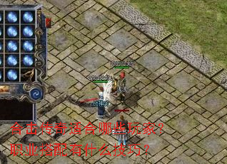 �ϻ������ʺ���Щ��ң�ְҵ������ʲô���ɣ�