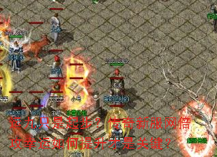 �˾�ֻ���𲽣������·���������������������ǹؼ���