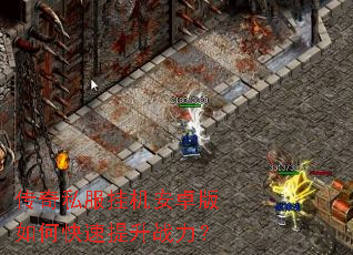 ����˽���һ���׿����ο�������ս����