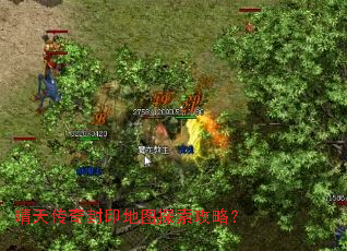 ���촫���ӡ��ͼ̽�����ԣ�