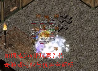 ��γ�ΪVIP��ң�������Ϸ��Ȩ������ȫ����