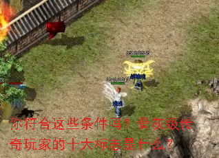 �������Щ�����𣿹ǻҼ�������ҵ�ʮ���־��ʲô��