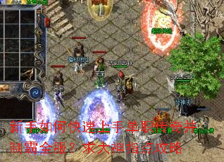 ������ο������ֵ�ְ���沢�ư�ȫ���������ָ�㹥��