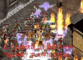 ������ο������ֵ�ְ���沢�ư�ȫ���������ָ�㹥��