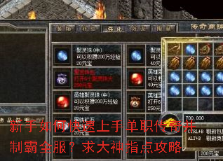 ������ο������ֵ�ְ���沢�ư�ȫ���������ָ�㹥��