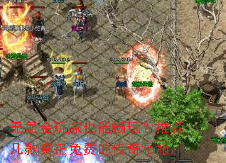 无氪金玩家也能畅玩?推荐几款真正免费的传奇私服 无氪金玩家也能畅玩?推荐几款真正免费的传奇私服