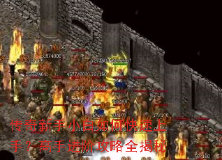 ��������С����ο������֣����ֽ��׹���ȫ����