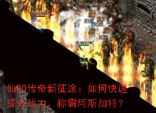 ��RO��������;����ο�������ս�����ư԰�˹���أ�