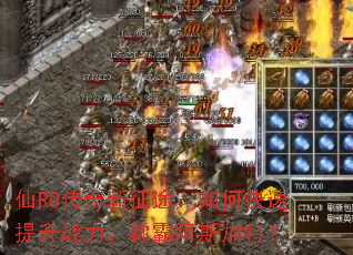 ��RO��������;����ο�������ս�����ư԰�˹���أ�