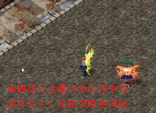 如何成为金庸传奇私服中的武林高手?秘籍攻略全揭秘 如何成为金庸传奇私服中的武林高手?秘籍攻略全揭秘