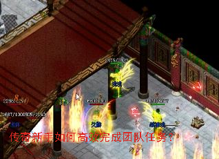 ����������θ�Ч����Ŷ�����