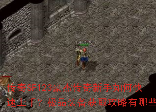 ����SF123���ܴ���������ο������֣���Ʒװ����ȡ��������Щ��