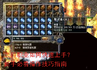 ��ʦְҵ��ο������֣����ֱؿ���������ָ��