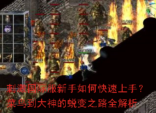 刺激国际服新手如何快速上手?菜鸟到大神的蜕变之路全解析 刺激国际服新手如何快速上手?菜鸟到大神的蜕变之路全解析