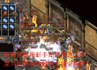 刺激国际服新手如何快速上手?菜鸟到大神的蜕变之路全解析 刺激国际服新手如何快速上手?菜鸟到大神的蜕变之路全解析