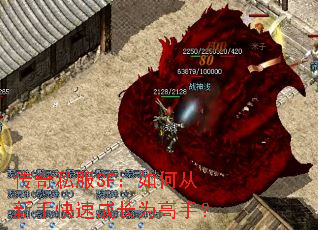 ����˽��SF����δ����ֿ��ٳɳ�Ϊ���֣�