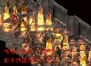 ����˽��SF����δ����ֿ��ٳɳ�Ϊ���֣�