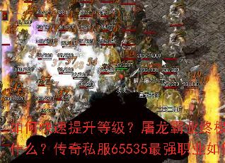 ��ο��������ȼ���������ҵ�ռ�װ����ȡָ����ʲô������˽��65535��ǿְҵ���ѡ��