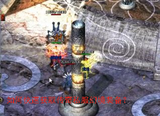 ��ο��ٻ�ȡ����˽���þ�װ����