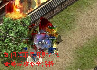 �����ȡ��ʦ����������Ϸ����ȫ����