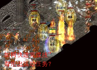 ��ο�����ɼ��������������